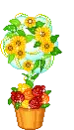 flower pot