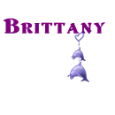 Brittany dolphin charm
