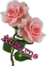 auburne