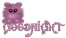Good Night Kitty (see the mouse?) :)