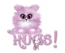 Hug's kitty