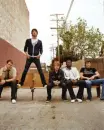 plain white t's