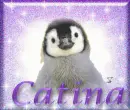 Catina