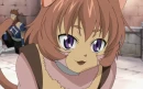 Tabby