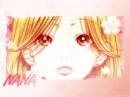 hachi