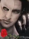 Phantom of the Opera, Gerry Butler, Gerard Butler, Hot, Sexy, Rose, candles, eyes