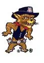 Arizona Wildcats