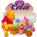 Winnie the Pooh and Piglet for Colin