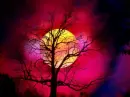 red sky