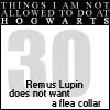 things i will not do at hogwarts