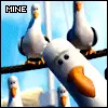 Mio?