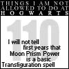 things i will not do at hogwarts