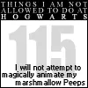 things i will not do at hogwarts