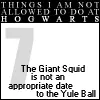 things i will not do at hogwarts