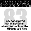 things i will not do at hogwarts