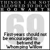 things i will not do at hogwarts