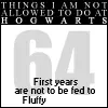 things i will not do at hogwarts