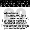 things i will not do at hogwarts