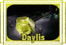 Daylis