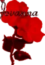 thrasha`s red rose