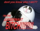 juggernaut cat