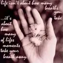 breath