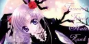 Midnight Bunny