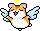 Angel Hamster