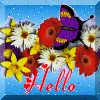 Hello
