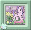 pony picture