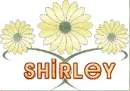 Shirley