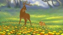 Bambi and dad