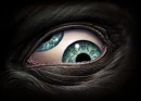 Tool Third Eye