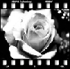 Beautiful