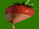 Cocoberry