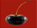 SweetBlackCherry
