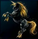 Dark Unicorn