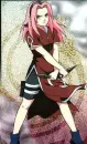Sakura