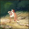 bambi