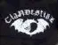 Clandestine
