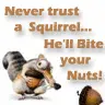 nuts