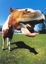horse