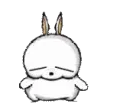 an animal dancing
