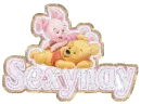 WINNIE POOH AND PIGLET WITH SEXY NAME