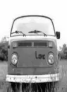 hippy