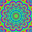 hippy