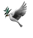 dove