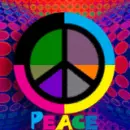 hippy