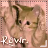 ~Kitty goes Rawr.~