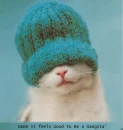 *GaNgStA* Kitty